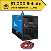Miller Trailblazer® 330 EFI